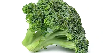 Image of the ingredient Indole-3-Carbinol: Healthy hormonal balance.