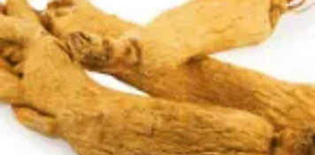 Image of the ingredient Asian Ginseng: Sustained mental and physical energy.