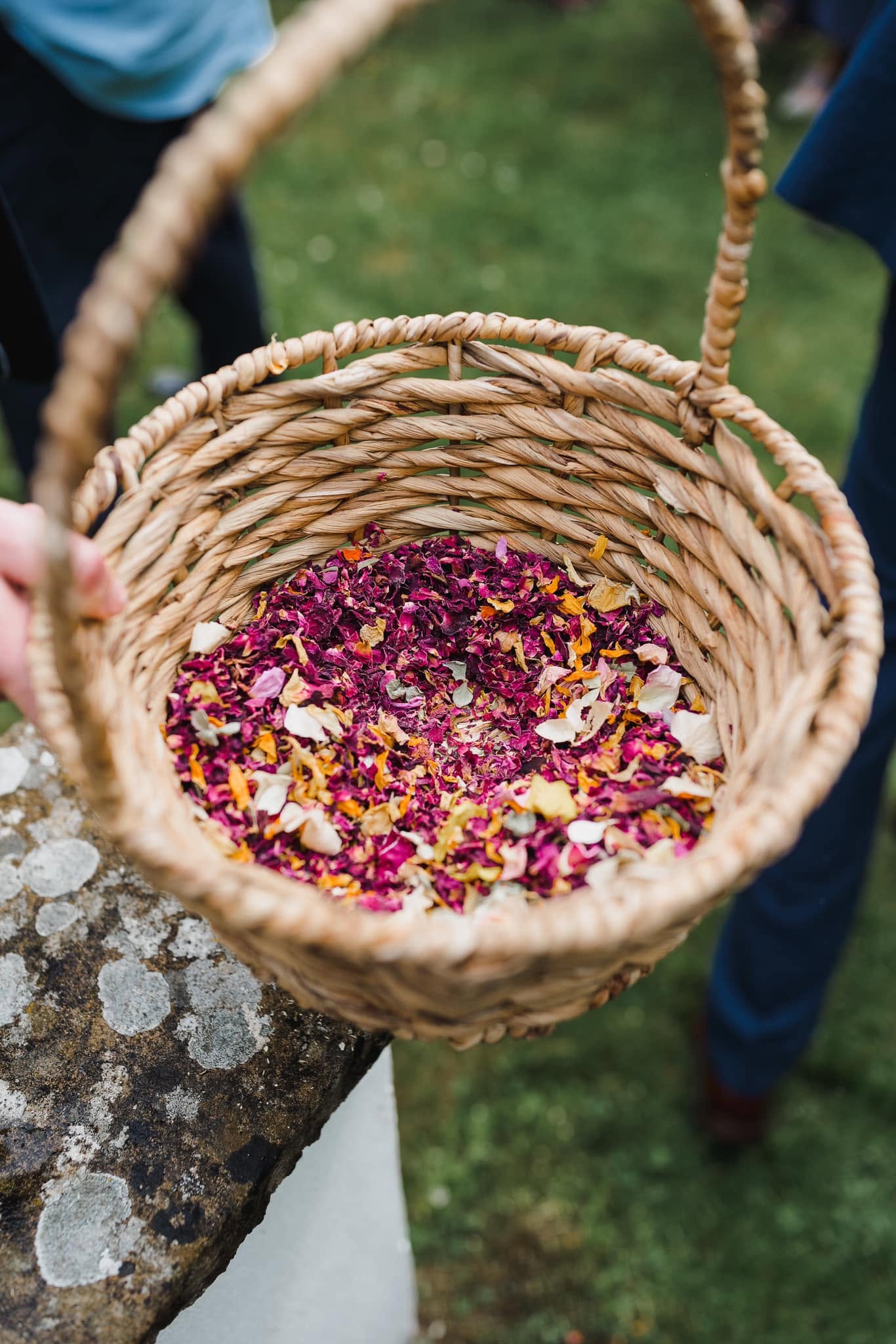 Petals from the walled garden