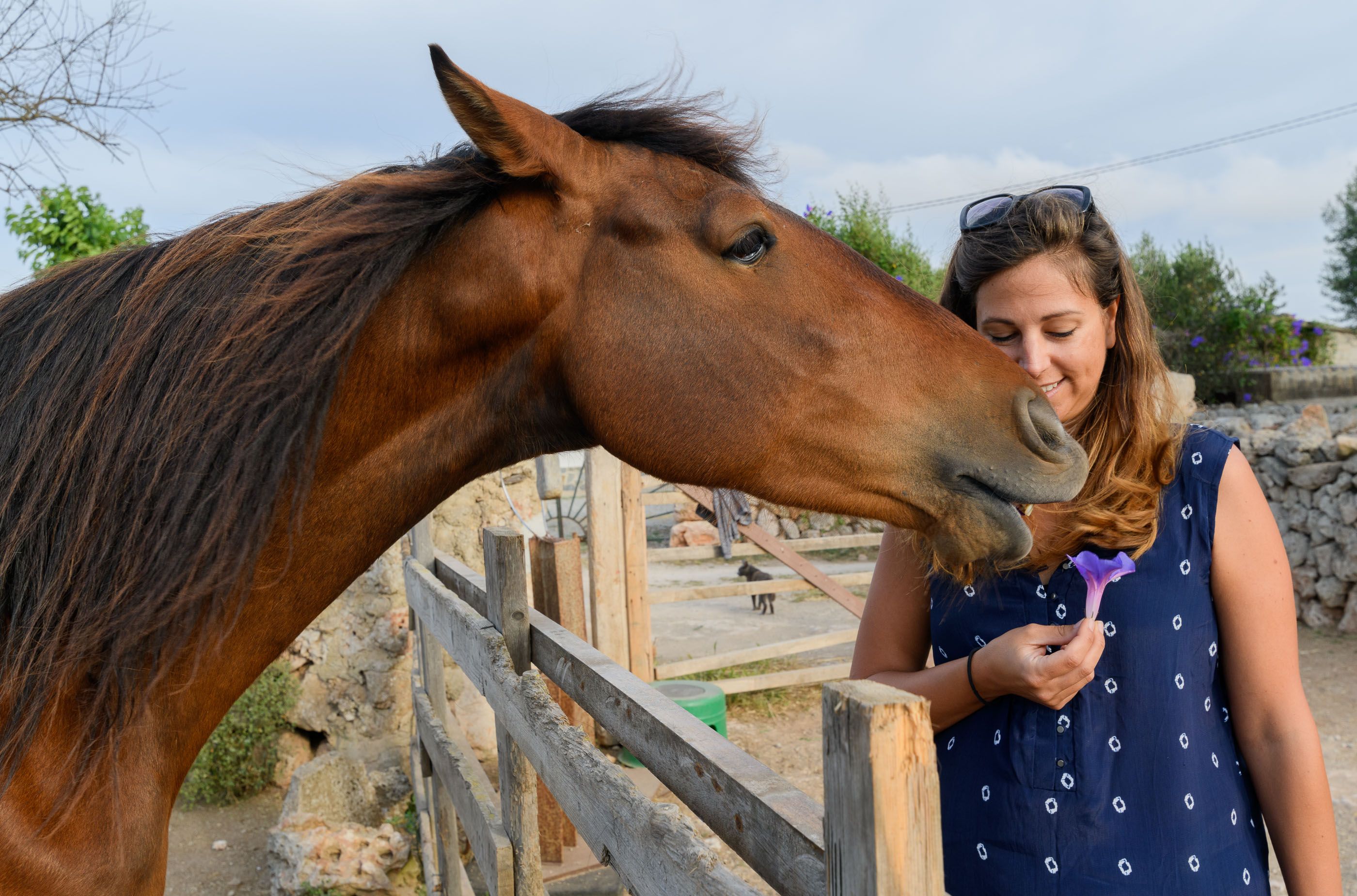 Emma with a horse at Trebaluger Equine Rescue Centre