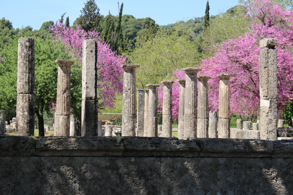 Olympia β Palaestra columns with spring blossoms