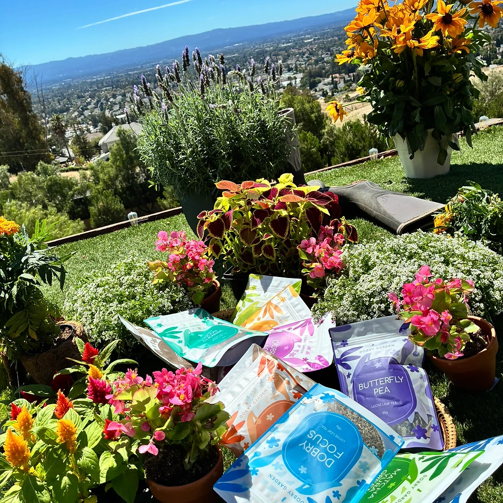 The Dobry Garden in California