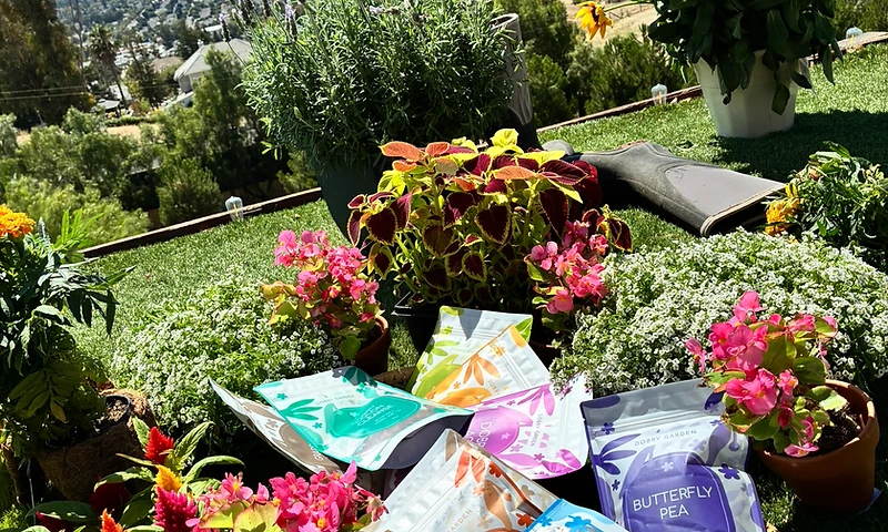 The real Dobry Garden — flowers, tea pouches and the wide California valley view