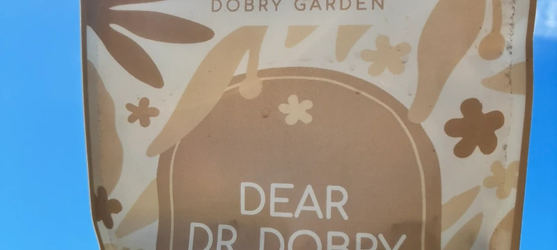 From the Dobry Garden — the real California garden and view