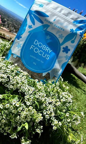 Focus — Dobry Garden tea photographed in the garden