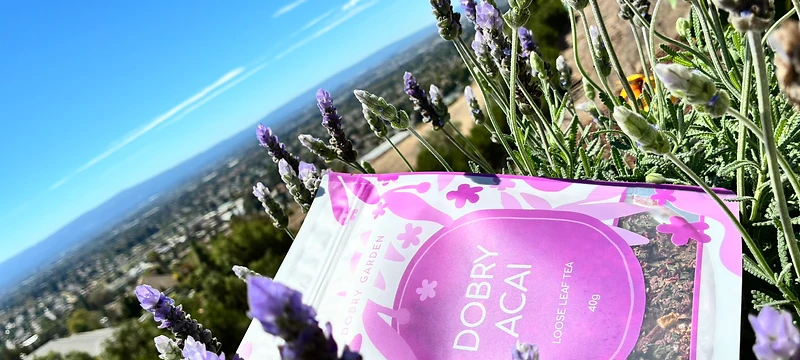 From the Dobry Garden — the real California garden and view