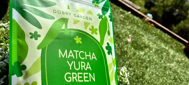 From the Dobry Garden — the real California garden and view
