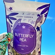 Butterfly Pea detail