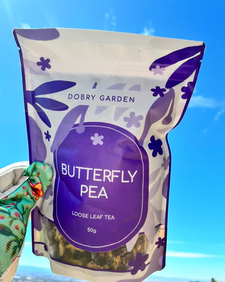 Butterfly Pea — Herbal Flower Tea photographed in the Dobry Garden