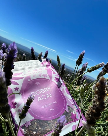 Dobry Acai — Berry Botanical Tea by Dobry Garden, photographed in the garden