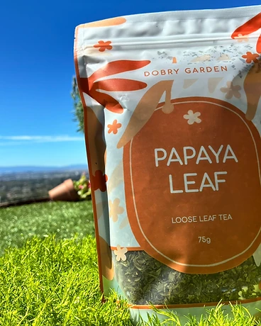 Papaya Leaf — Herbal Leaf Tea by Dobry Garden, photographed in the garden