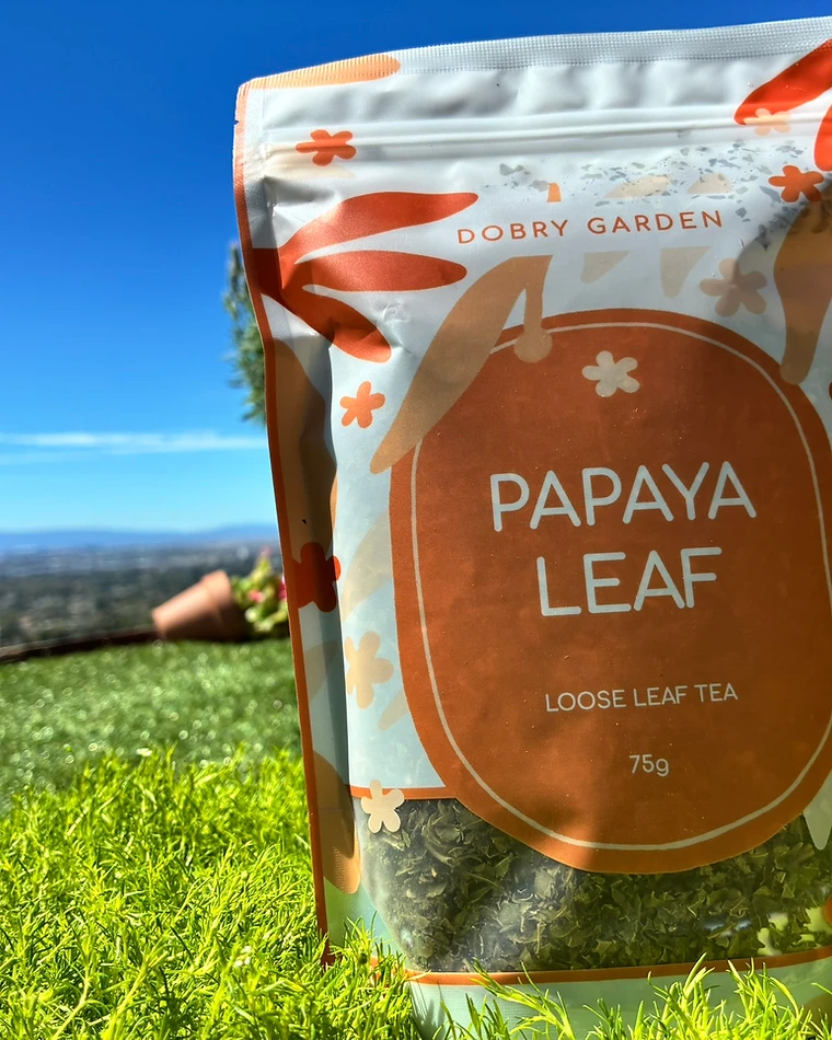 Papaya Leaf — Herbal Leaf Tea photographed in the Dobry Garden