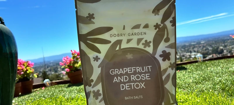 From the Dobry Garden — the real California garden and view