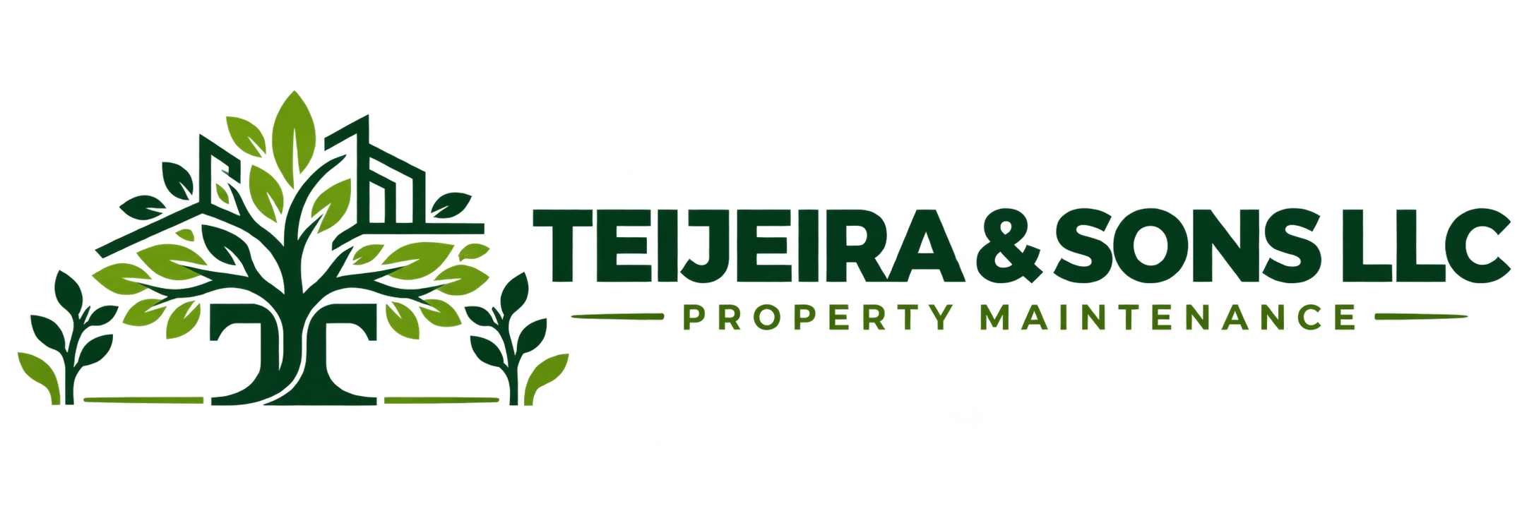 Teijeira & Sons LLC logo