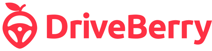 DriveBerry