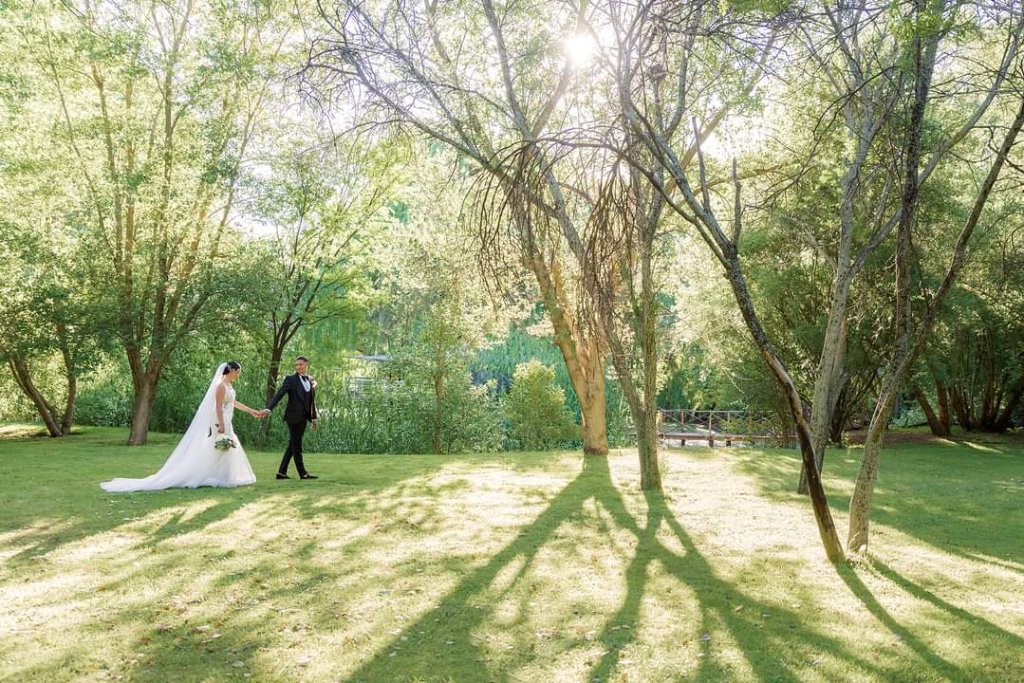 Couple under sunlight in trees