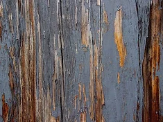 Rotting closeboard fence needing repair