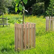 Chain link protective tree fencing