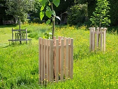 Chain link protective tree fencing