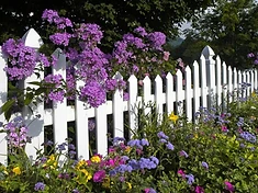 White picket fence with flowers in the garden