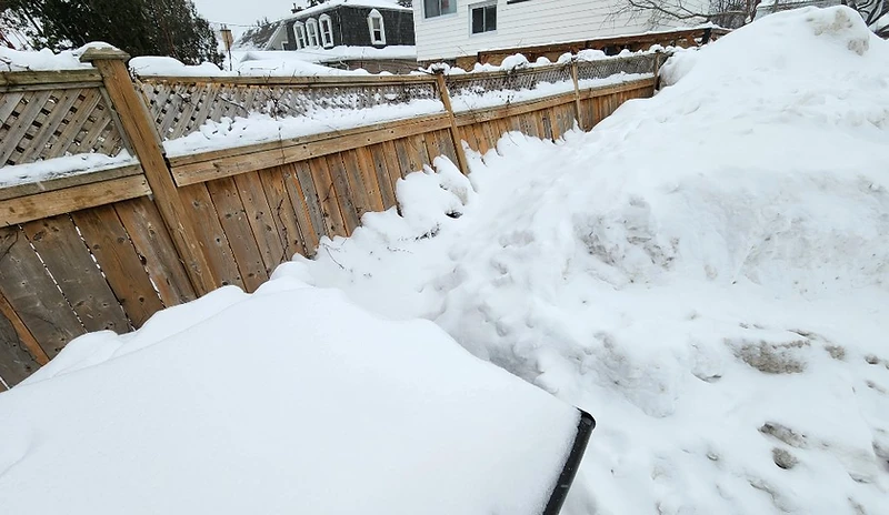 Fence Repair