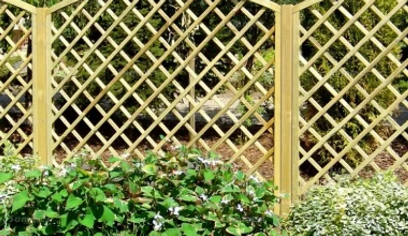 Trellis Fencing