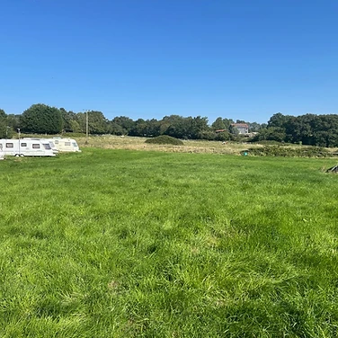 Open meadow looking south