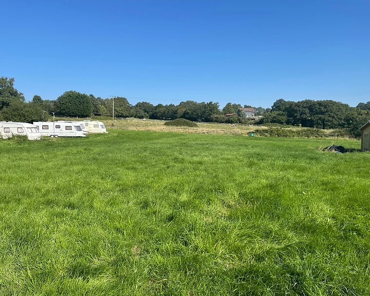 Open meadow at Willows