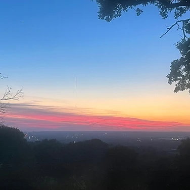 Sunset over the forest edge