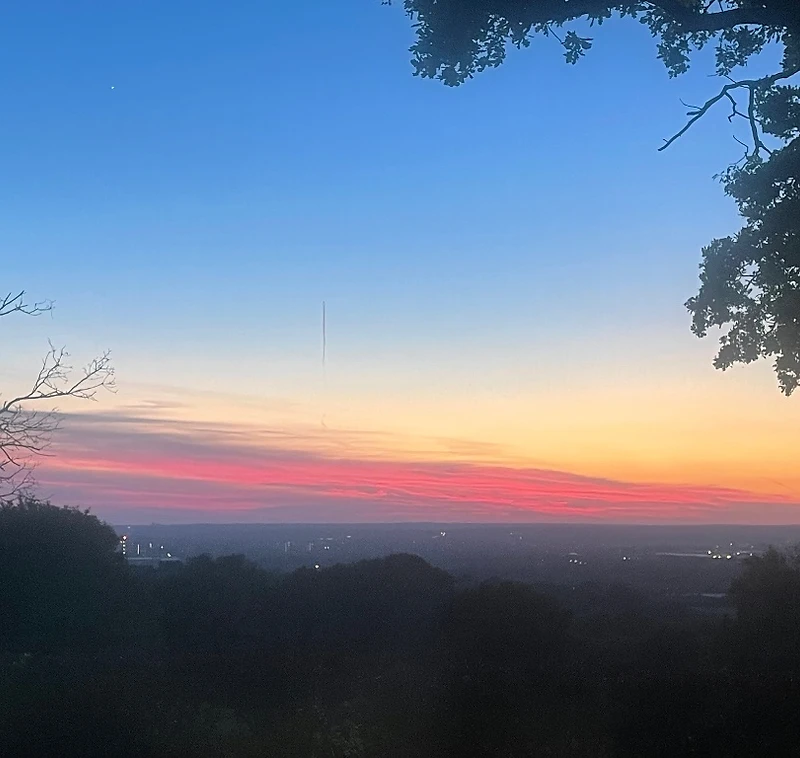 Sunset over the forest edge at Willows Rustic Caravan Park