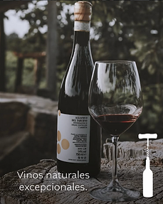 Vinos naturales: qué son y por qué cada vez más gente los prefiere