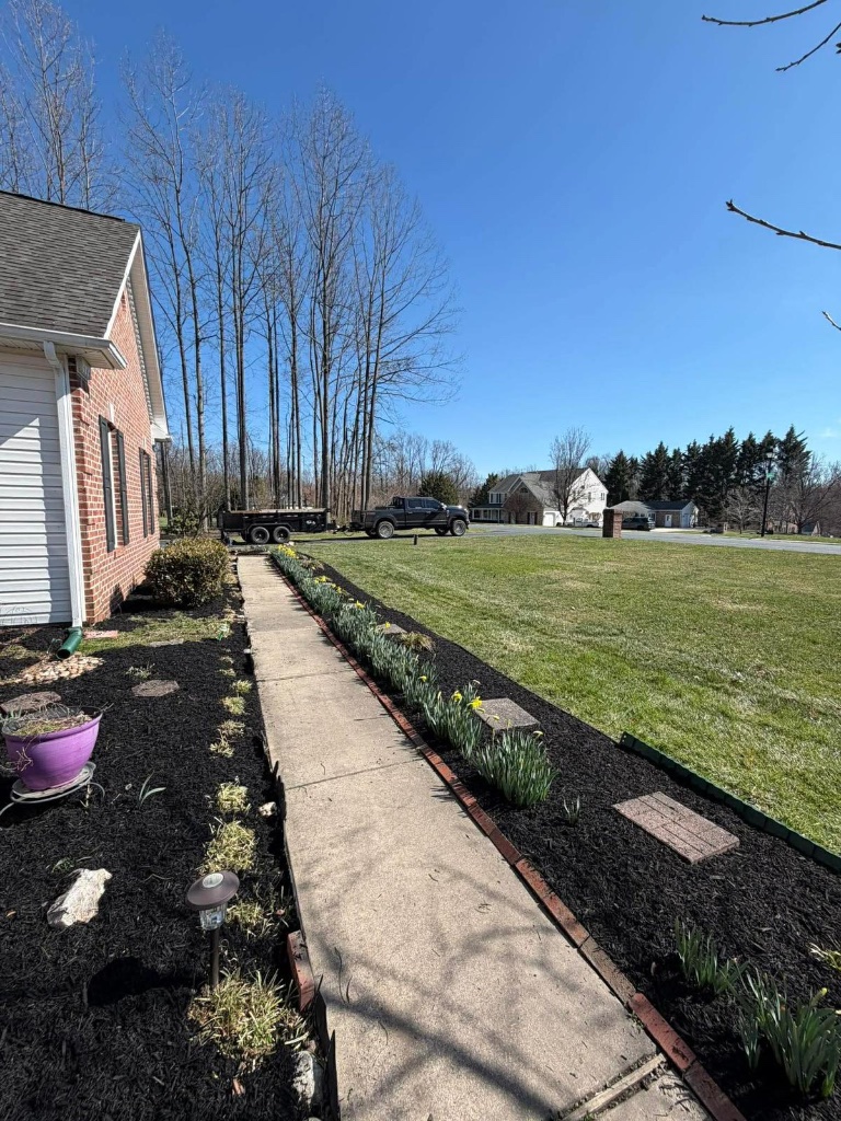 Complete landscape cleanup and mulch installation Fallston