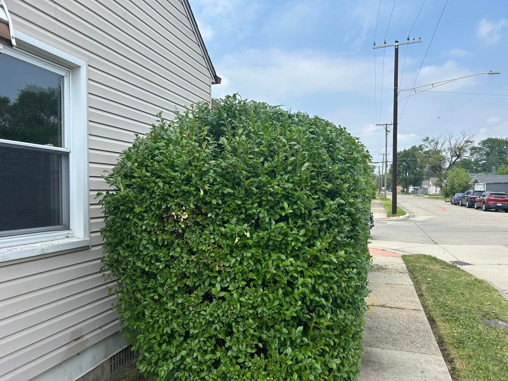 Garden bed cleanup and maintenance in Grosse Pointe Farms