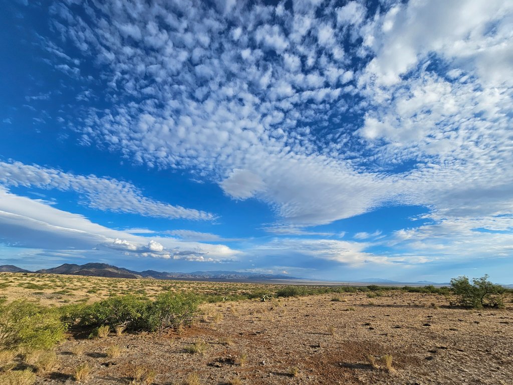 Desert landscape