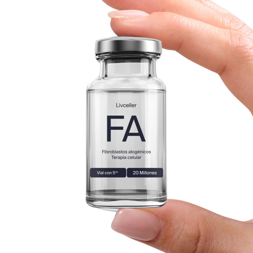 Livceller Fibroblastos