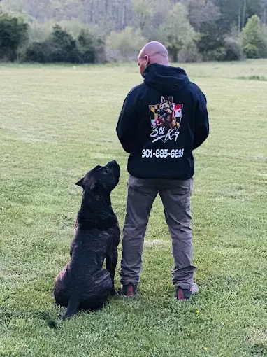 Handler-dog connection during field training