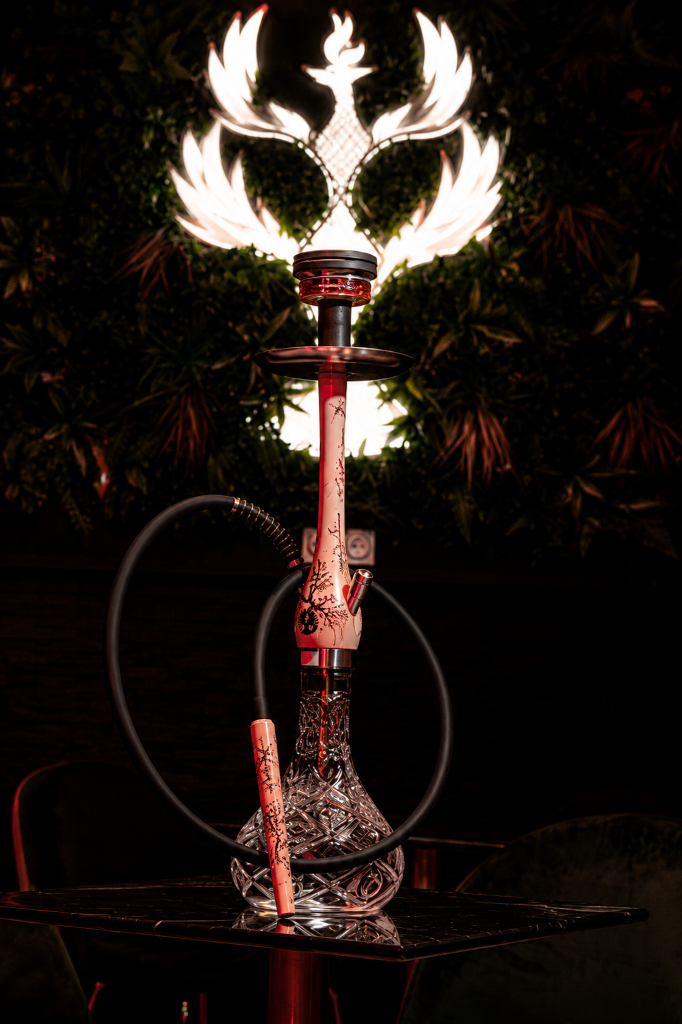 Chicha Phoenix lumineuse dans une ambiance lounge