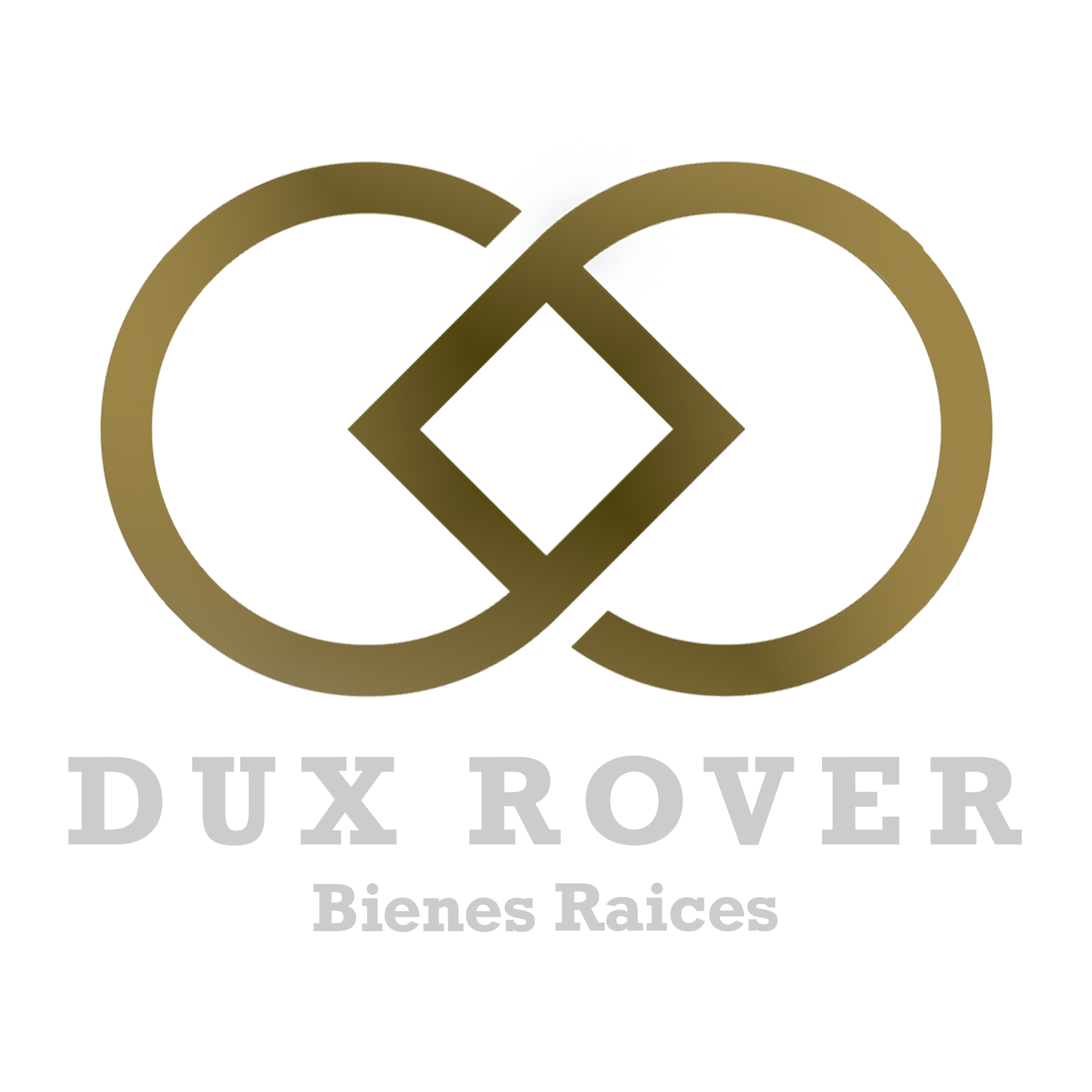 Dux Rover Bienes Raíces