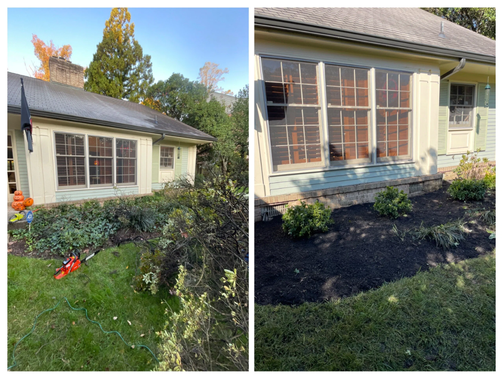 Trimming & Pruning