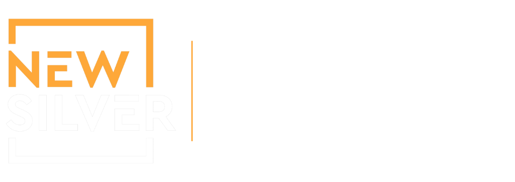 New Silver Capital