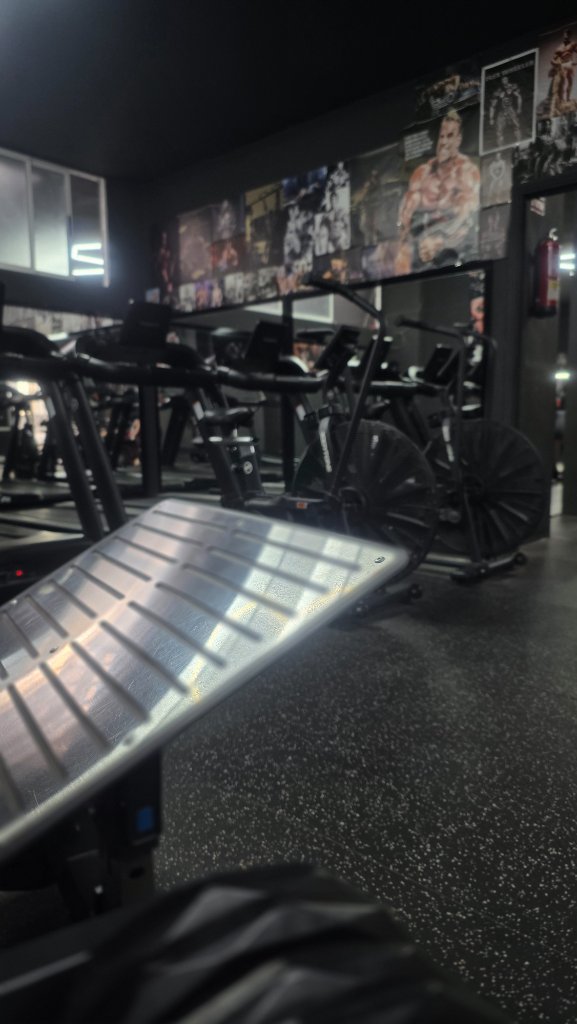 REAL GYM