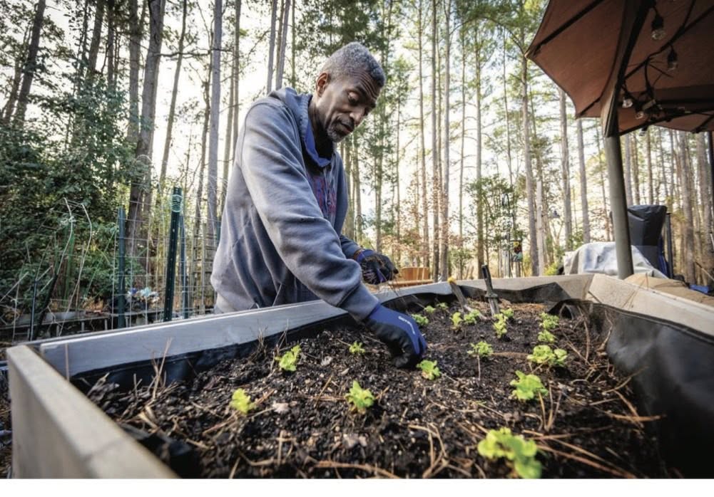 Anthony Johnson gardening
