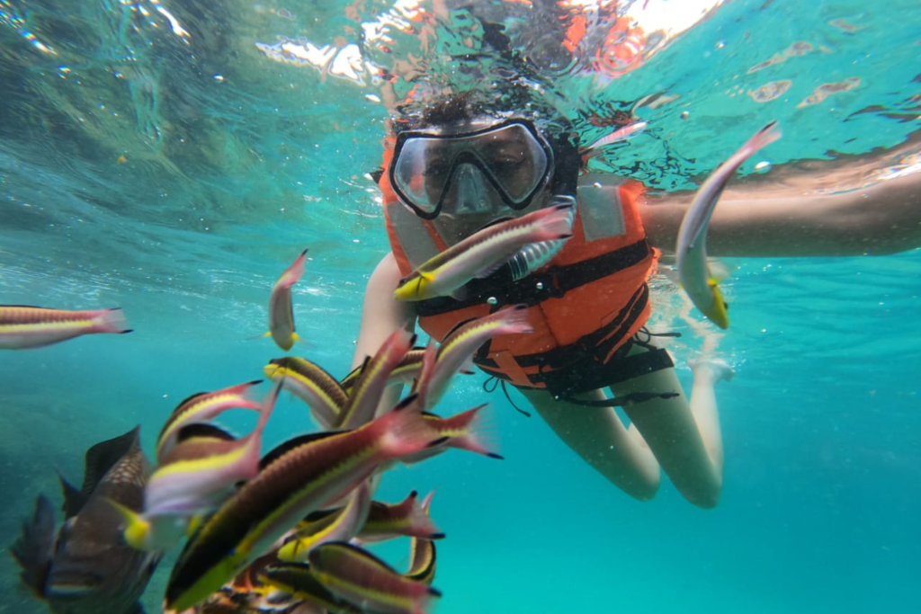 Snorkel - foto 3