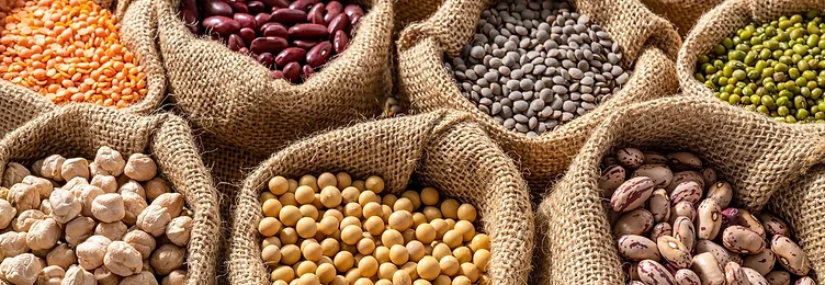 Assorted dried beans and legumes