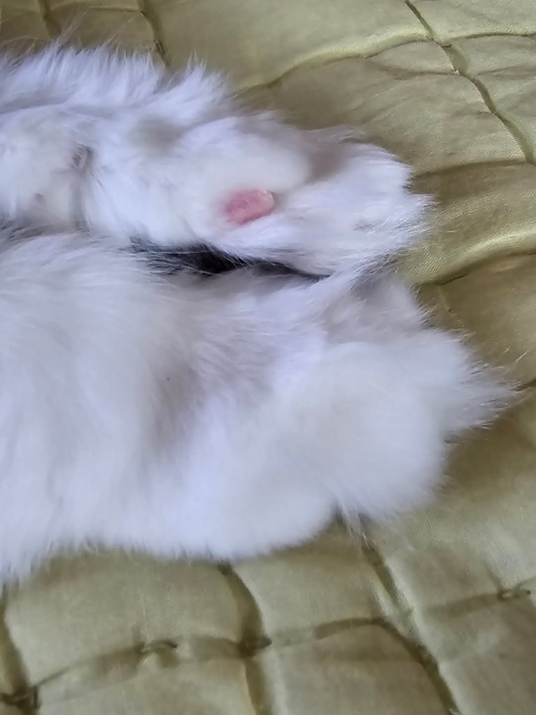 Chloe