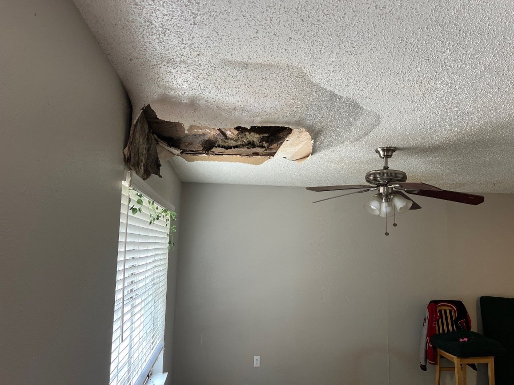 Ceiling water damage from a roof leak in a North Texas home