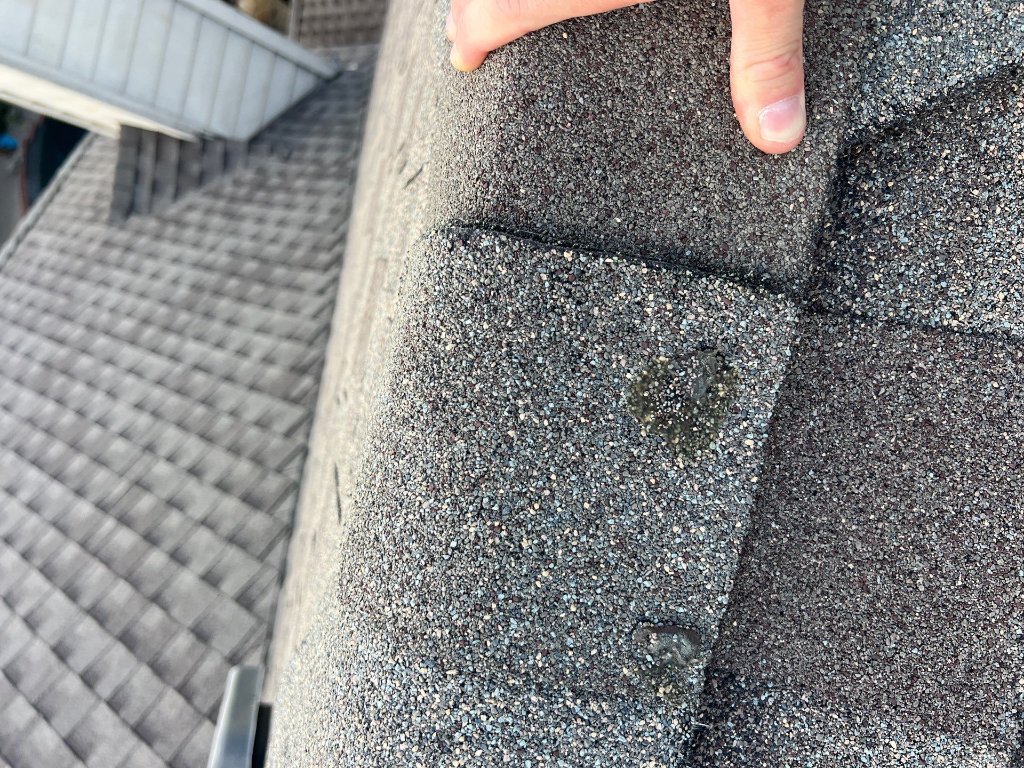 Down Net Http20260420 394 Biru95 - Roof Repair project photo by Becker Roofing and Exteriors
