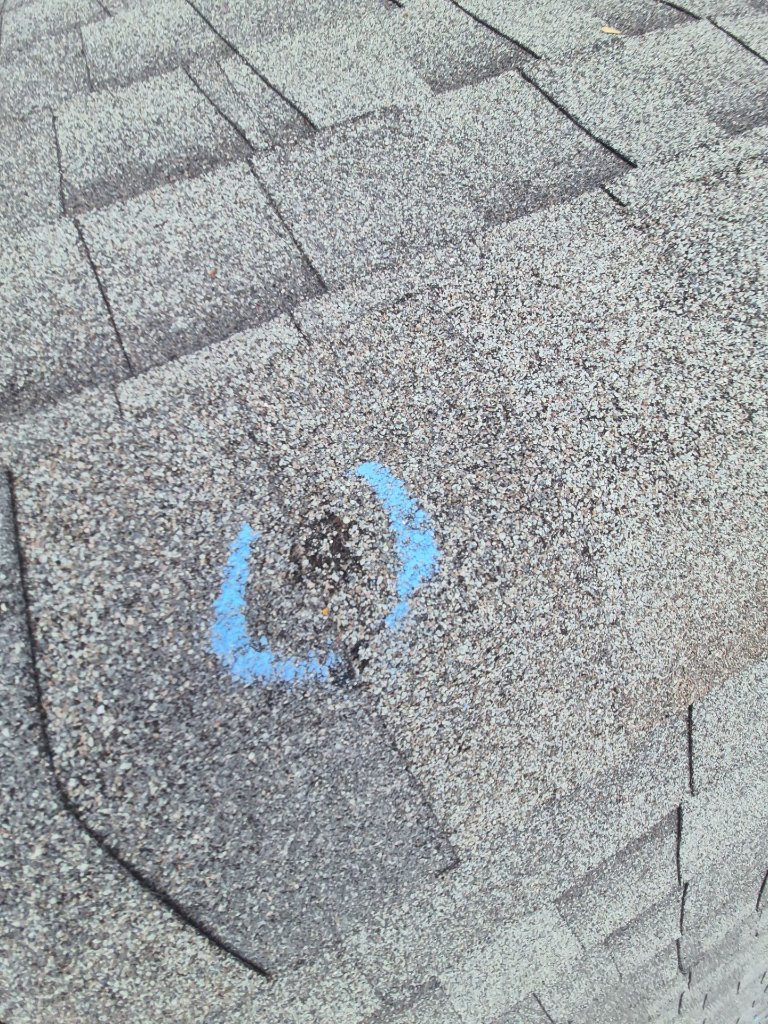 Hail Damage Granule Loss on a North Fort Worth Shingle - North Fort Worth Roofing project photo by Becker Roofing and Exteriors