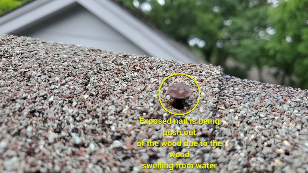 Popped Nail and Wood Swelling Causing a Roof Leak in Bedford - Bedford Roofing project photo by Becker Roofing and Exteriors