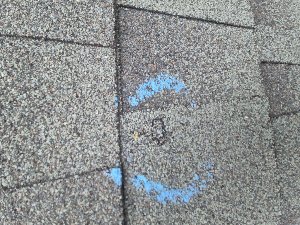 Hail Damage Shingle Bruise From April 2026 North Fort Worth Storm - North Fort Worth Roofing project photo by Becker Roofing and Exteriors